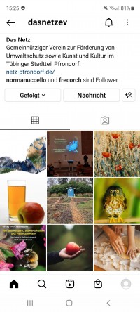 Instagram Account für Das NETZ 